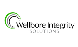 Wellbore Integrity Solutions